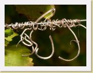 2006-10-21_16-38-34_octobre_200,0mm_1_200_eme_DiMAGE A2 * 2560 x 1920 * (904KB)